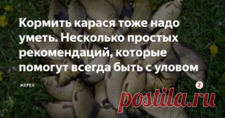 Кормить карася тоже надо уметь. Несколько простых рекомендаций, которые помогут всегда быть  с уловом Как правильно прикормить карася для успешной рыбалки? Очень многие рыбы запоминают места, где есть корм. Карась не является исключением, поэтому многие рыбаки, используя данную информацию, предварительно закармливают облюбованное место и потом успешно ловят там карася без каких-либо проблем.
Но кормить карася тоже надо уметь! Во первых, не всякий прикорм приходится ему по ...