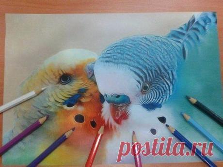 Рисунок цветными карандашами.