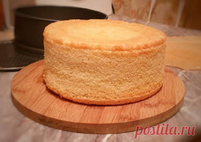 (39) Секрет высокого бисквита без высокой формы + тортик из него😋 - пошаговый рецепт с фото. Автор рецепта Oksana Chagina . - Cookpad