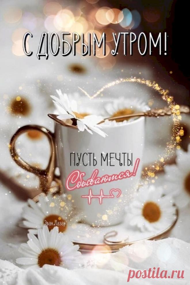 57e3d920.jpg (685×1024)