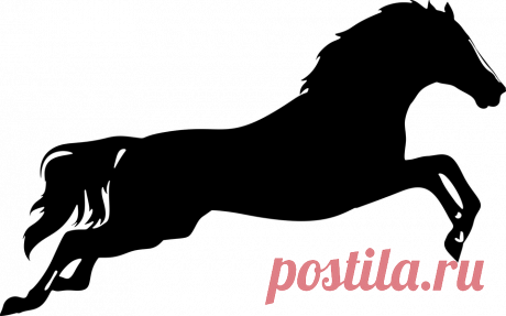 лошадь вектор png 3 » PNG Image