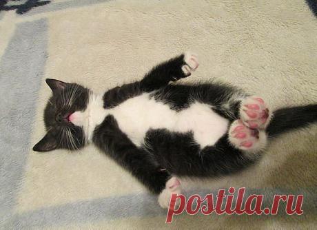 ღ Ҭσ,чтσ доρогσ ღ