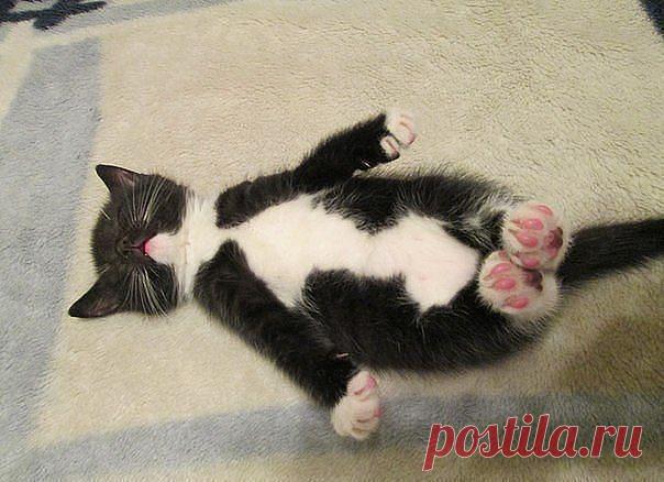 ღ Ҭσ,чтσ доρогσ ღ