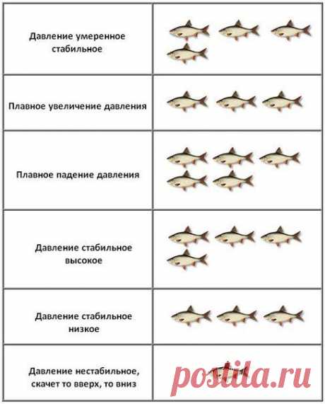Рыболовный барометр / Богатая добыча