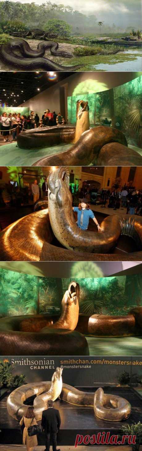 Титанобоа: самая большая змея среди существовавших | MirFactov &amp;#8212; всё самое интересное!