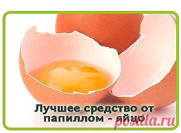 Однокласники