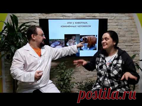 Ожирение. Как избавиться?