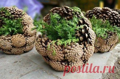 (810) Pinterest
