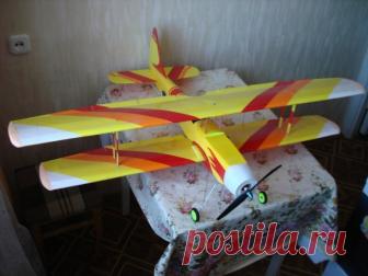 Мой биплан «Strangers» с размахом крыла 115 см