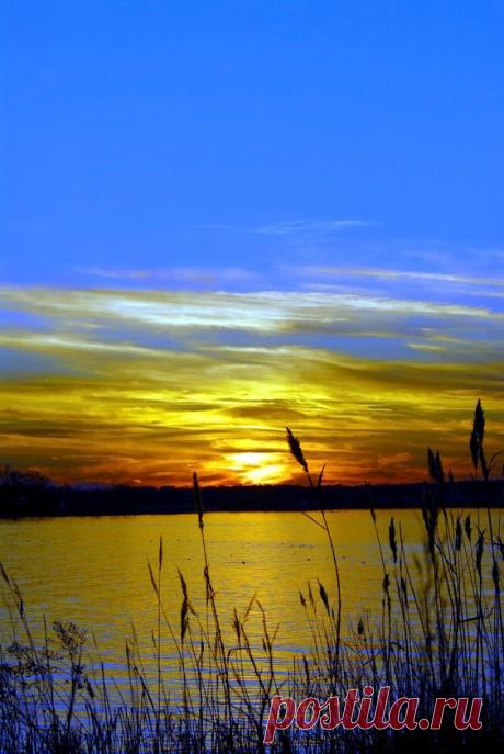 (214) Pinterest