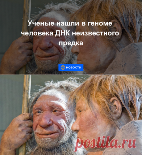 Ученые нашли в геноме человека ДНК неизвестного предка - Новости Mail.ru