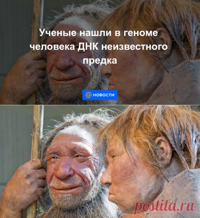 Ученые нашли в геноме человека ДНК неизвестного предка - Новости Mail.ru