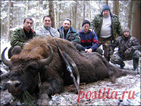 Вымирающие и вымершие животные.