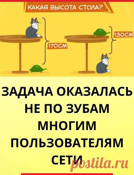 Задача для китайских школьников оказалась не по зубам многим пользователям Сети