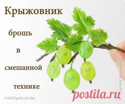 Видеурок: создаем 