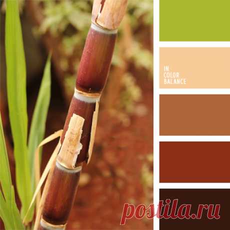 Цветы, деревья — источник вдохновения! | BepHuK собирает друзей