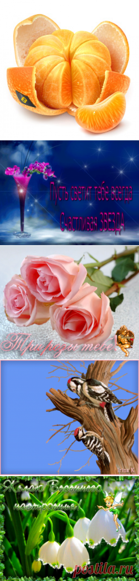 Раиса Плитакова - Простые рецепты Овкусе.ру