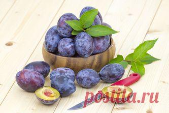 Домашнее сливовое вино | Полезные советы для дома и рецепты с фото - Сайт ответов на вопросы от vsovetah.ru