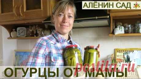 ОГУРЧИКИ маринованные от мамочки / Самый простой проверенный способ маринования огурцов