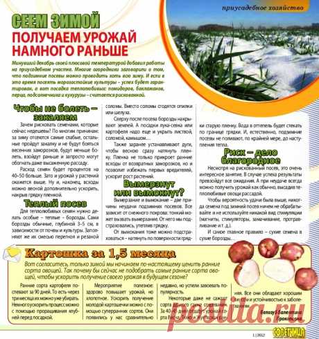 Сеем зимой