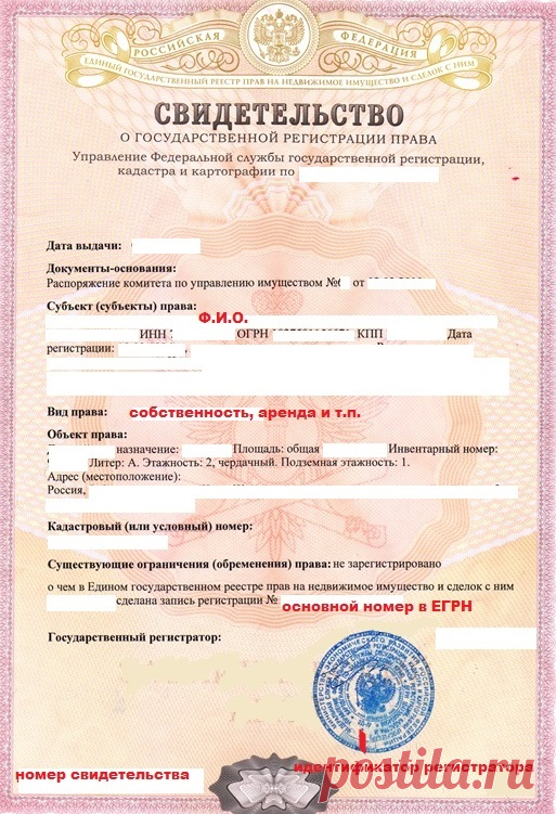Свидетельство о государственной регистрации права. Что надо знать об этом документе | Филилеев Филипп Владимирович, 26 апреля 2020