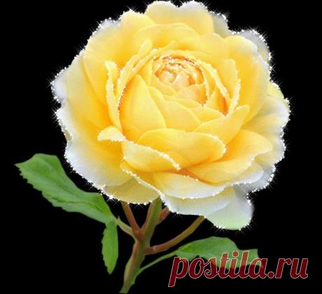 (68) Одноклассники