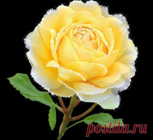 (68) Одноклассники