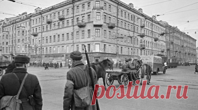 В Приморье открылась выставка «80 фактов о блокаде Ленинграда». Выставка «80 фактов о блокаде Ленинграда» открылась во Владивостоке в мультимедийном центре «Россия — моя история». Читать далее