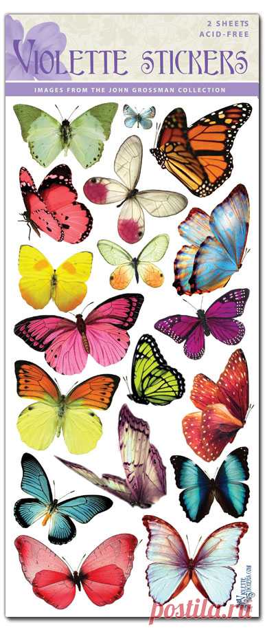 Violette Stickers : Archives : Products : 5