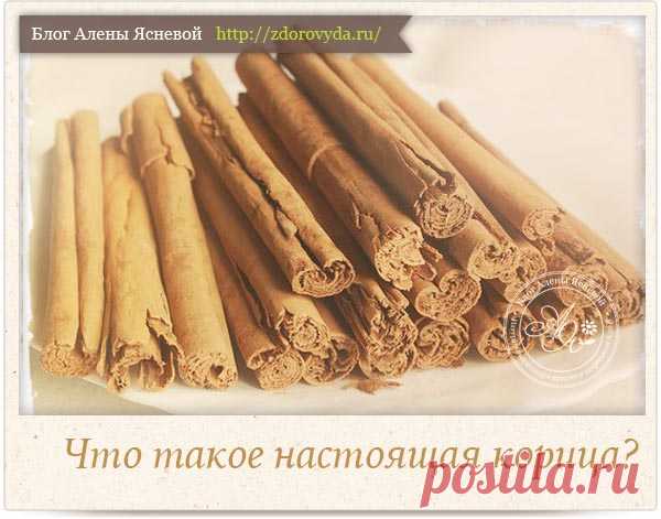Настоящая корица - как отличить от подделки и выбрать правильно?