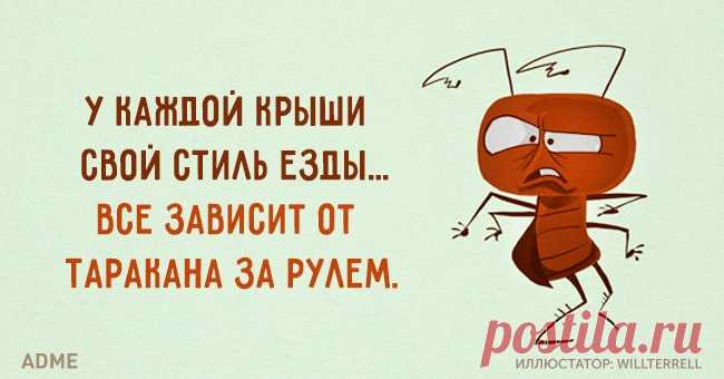 У каждой крыши свой стиль езды