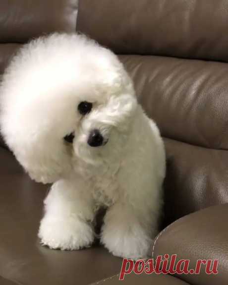 Людмила Автушко - Людмила Автушко поделилась видео MetDaan Creative.