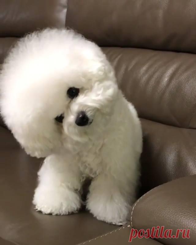 Людмила Автушко - Людмила Автушко поделилась видео MetDaan Creative.