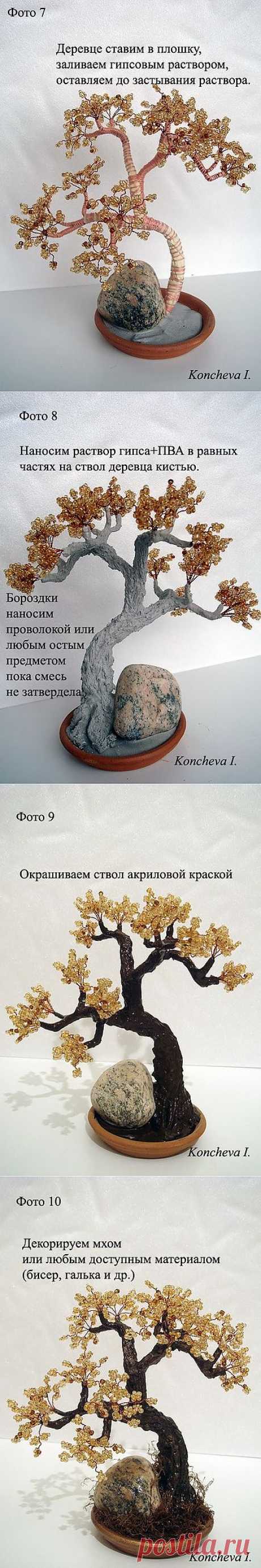 ствол дерева - Самое интересное в блогах