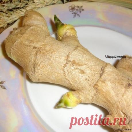 А у меня пророс корень имбиря. Буду выращивать имбирное растение