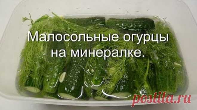 Малосольные огурцы на минералке. Как засолить огурцы.