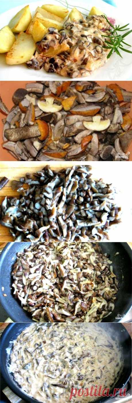 Подосиновики в сливочном соусе - пошаговый кулинарный рецепт на Повар.ру