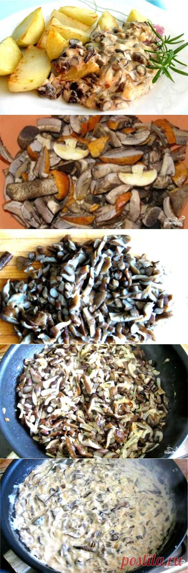 Подосиновики в сливочном соусе - пошаговый кулинарный рецепт на Повар.ру