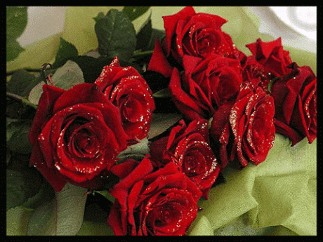 Alaaddin BOZKIR – Google+