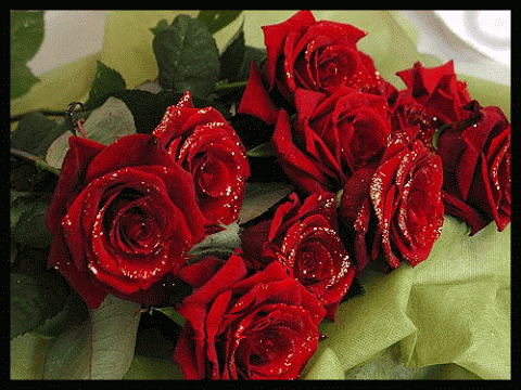 Alaaddin BOZKIR – Google+