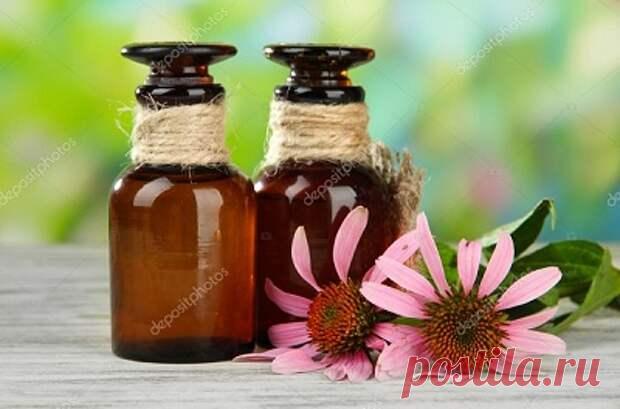 ЗНАХАРСКИЕ НАСТОЙКИ. - Познавательный сайт ,,1000 мелочей