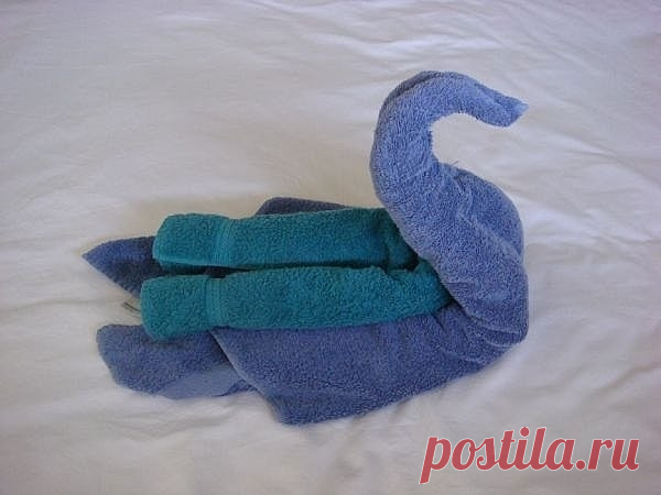 Складываем полотенца в форме лебедя