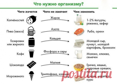 Интересные новости    Что нужно организму, когда чего-то хочется?