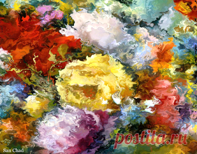 San Chad * Черных А.Д.