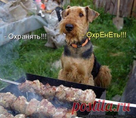 Одноклассники