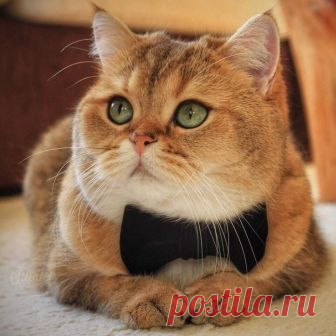 К весне готов :)