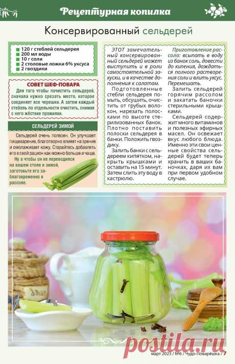 Консервированный сельдерей