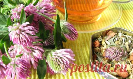 15 полезных добавок к чаю