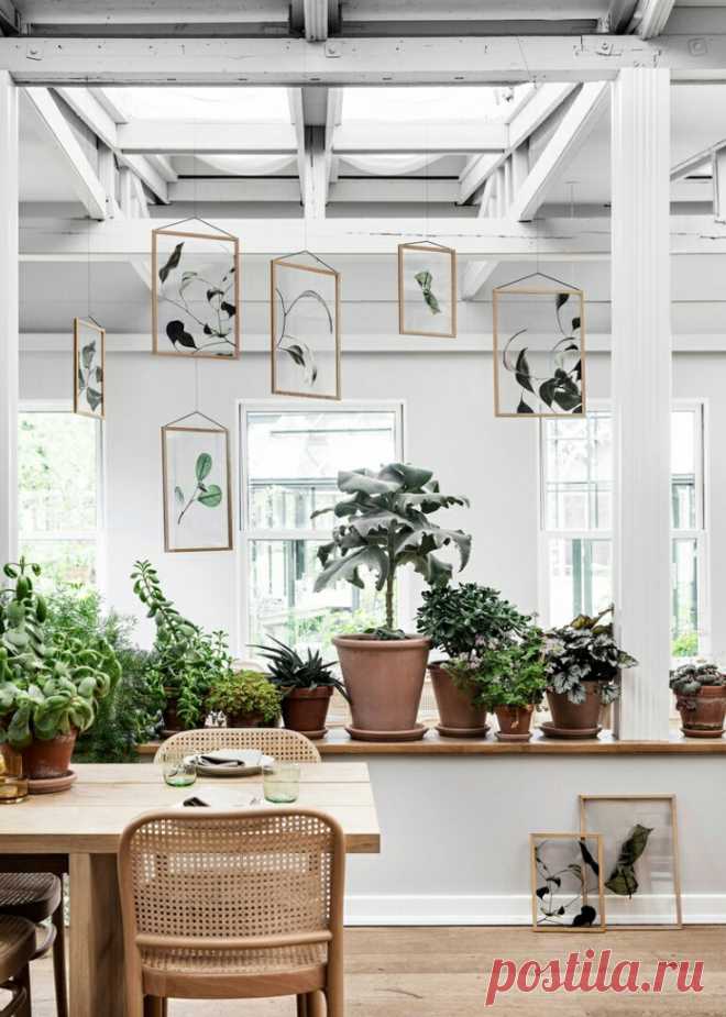 Подвесной гербарий (подборка)