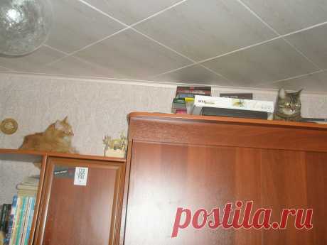 Любители высот